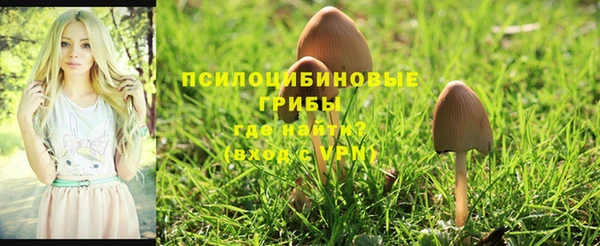 трава Протвино