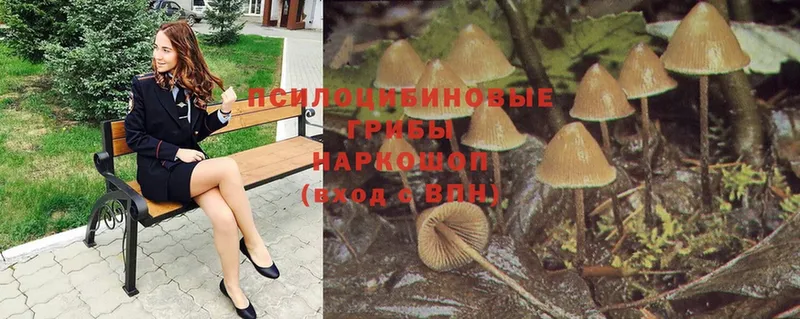 Галлюциногенные грибы Magic Shrooms  Бабушкин 